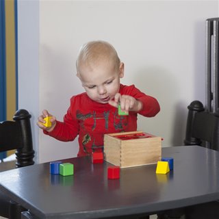 Shape sorting cube